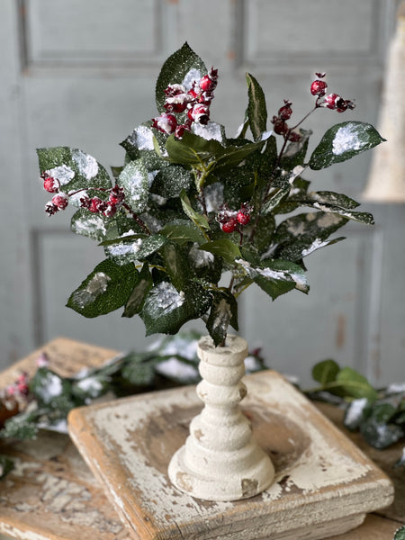 Wintry Salutations Bush | 16" | 25% OFF - DISCOUNT TAKEN IN OFFICE