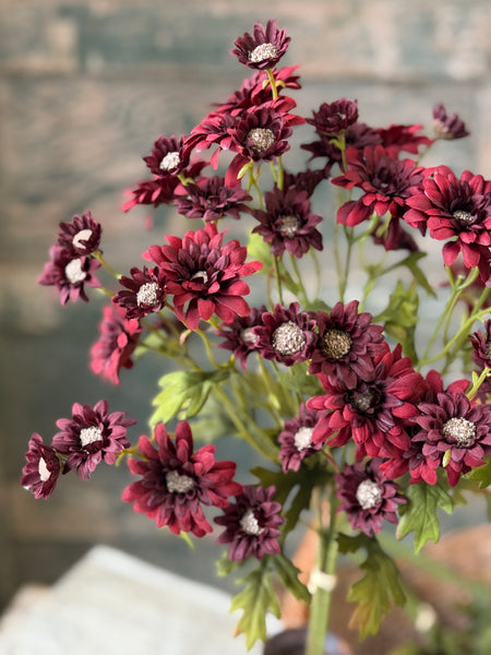 Pendleton Daisies | 28.5" | Sangria | NOT CURRENTLY IN STOCK-New For Holiday 2026!