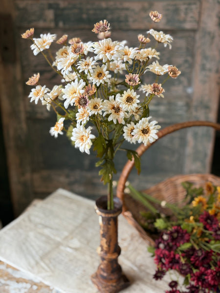 Pendleton Daisies | 28.5" | Cream | NOT CURRENTLY IN STOCK-New For Holiday 2026!