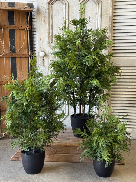 Churchill Cypress Tree | 25" | NOT CURRENTLY IN STOCK-New For Holiday 2026!