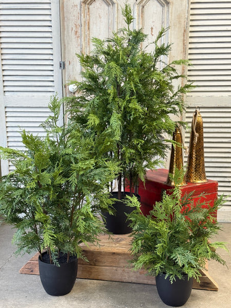 Churchill Cypress Tree | 48" | NOT CURRENTLY IN STOCK-New For Holiday 2026!