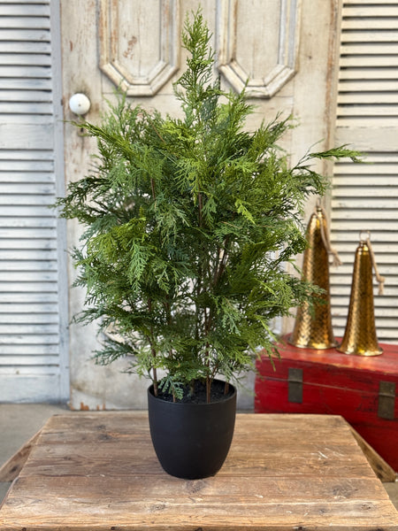 Churchill Cypress Tree | 36" | NOT CURRENTLY IN STOCK-New For Holiday 2026!
