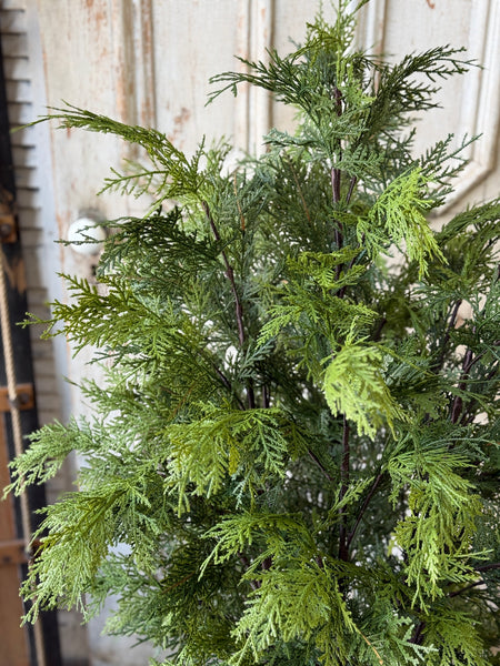 Churchill Cypress Tree | 48" | NOT CURRENTLY IN STOCK-New For Holiday 2026!