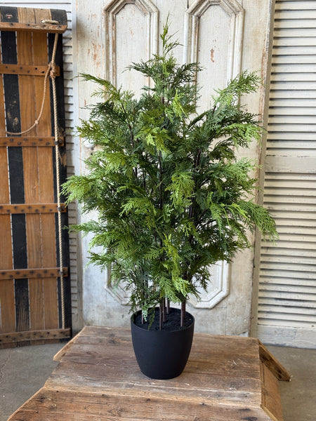Churchill Cypress Tree | 48" | NOT CURRENTLY IN STOCK-New For Holiday 2026!