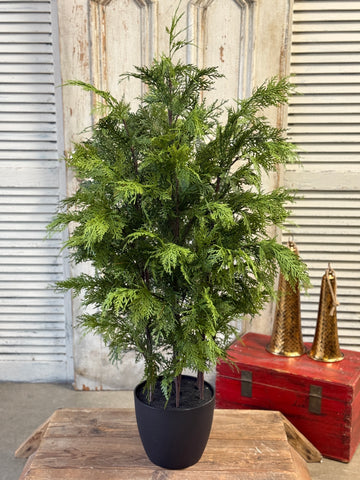 Churchill Cypress Tree | 48" | NOT CURRENTLY IN STOCK-New For Holiday 2026!