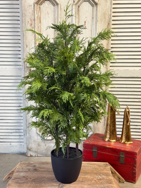 Churchill Cypress Tree | 48" | NOT CURRENTLY IN STOCK-New For Holiday 2026!