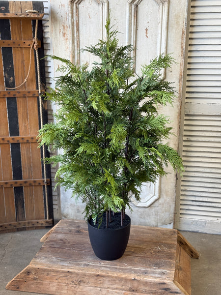 Churchill Cypress Tree | 48" | NOT CURRENTLY IN STOCK-New For Holiday 2026!