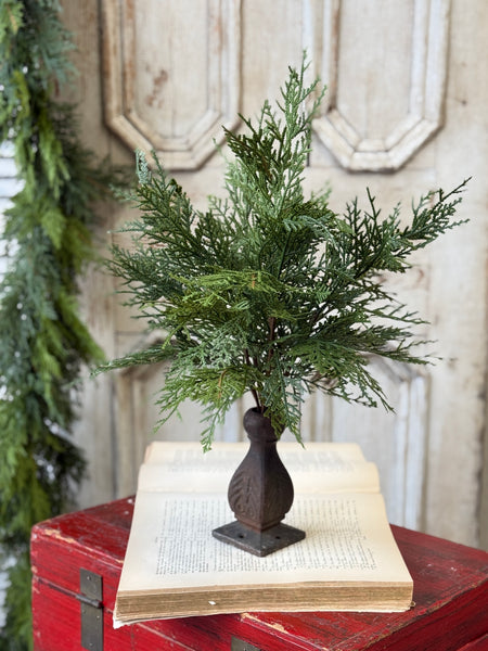 Stillwood Greens Bush | 20" | NOT CURRENTLY IN STOCK-New For Holiday 2026!