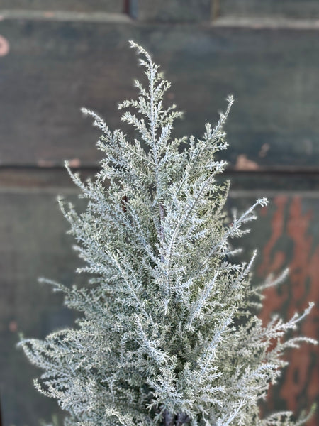 Snowport Tree | 18" | NOT CURRENTLY IN STOCK-New For Holiday 2026!