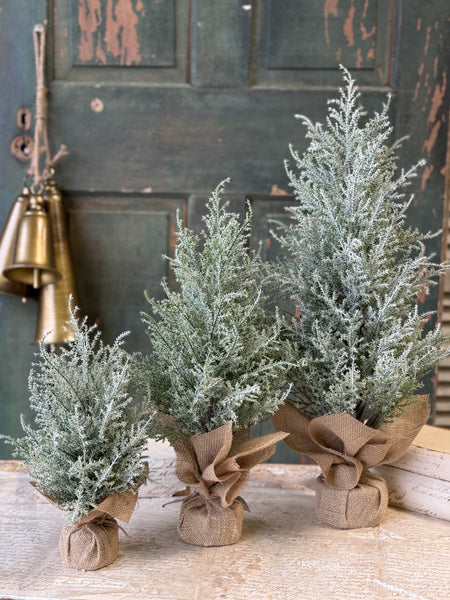 Snowport Tree | 18" | NOT CURRENTLY IN STOCK-New For Holiday 2026!