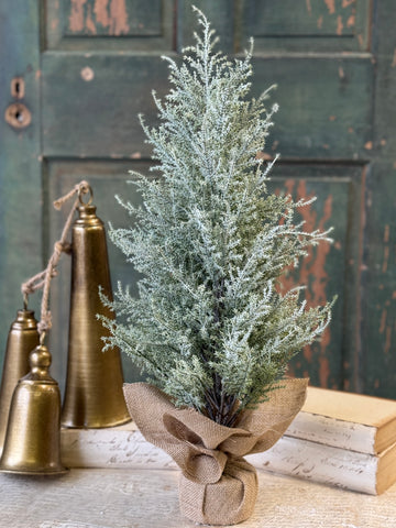 Snowport Tree | 24" | NOT CURRENTLY IN STOCK-New For Holiday 2026!