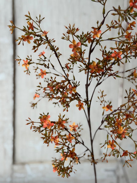 Meadowhue Blooms | 36" | Sunset | NOT CURRENTLY IN STOCK-New For Holiday 2026!