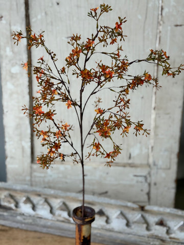 Meadowhue Blooms | 36" | Sunset | NOT CURRENTLY IN STOCK-New For Holiday 2026!