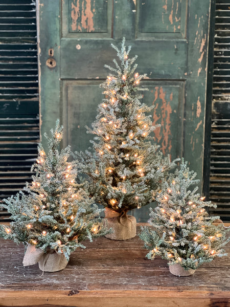 Pine Snow Tree | 36" | Burlap | Clear Lights