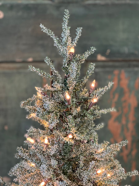 Pine Snow Tree | 36" | Burlap | Clear Lights
