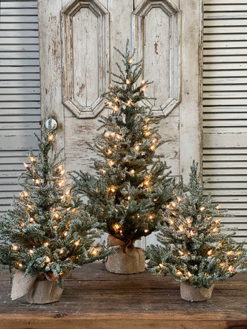 Pine Snow Tree | 18" | Burlap | Clear Lights