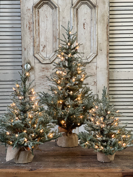 Pine Snow Tree | 36" | Burlap | Clear Lights