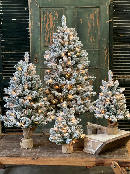 Winter Whisper Tree with Lights | 48"