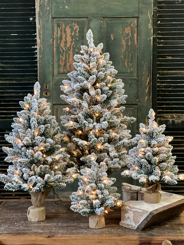 Winter Whisper Tree with Lights | 48"