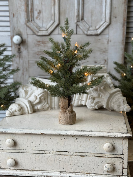 Stonington Tree w/ Lights | 18" | NOT CURRENTLY IN STOCK-New For Holiday 2026!