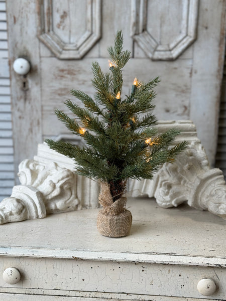 Stonington Tree w/ Lights | 18" | NOT CURRENTLY IN STOCK-New For Holiday 2026!