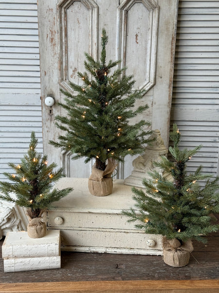 Stonington Tree w/ Lights | 18" | NOT CURRENTLY IN STOCK-New For Holiday 2026!