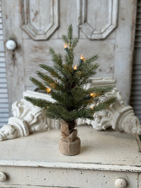 Stonington Tree w/ Lights | 18" | NOT CURRENTLY IN STOCK-New For Holiday 2026!