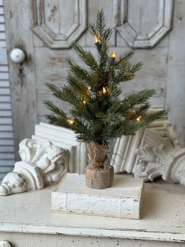 Stonington Tree w/ Lights | 18" | NOT CURRENTLY IN STOCK-New For Holiday 2026!