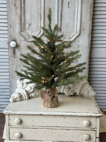Stonington Tree w/ Lights | 24" | NOT CURRENTLY IN STOCK-New For Holiday 2026!