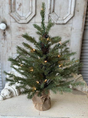 Stonington Tree w/ Lights | 24" | NOT CURRENTLY IN STOCK-New For Holiday 2026!