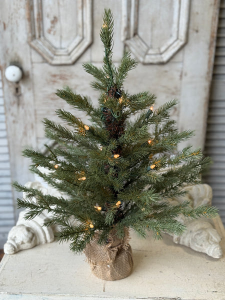 Stonington Tree w/ Lights | 24" | NOT CURRENTLY IN STOCK-New For Holiday 2026!