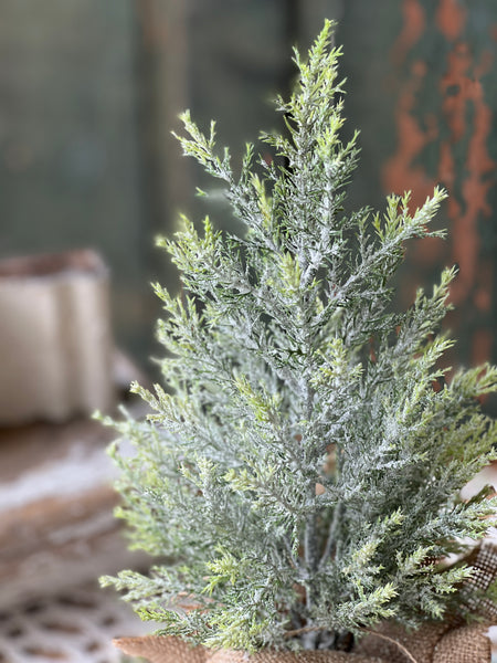 Fine Pine Tree | 15" | SOLD OUT