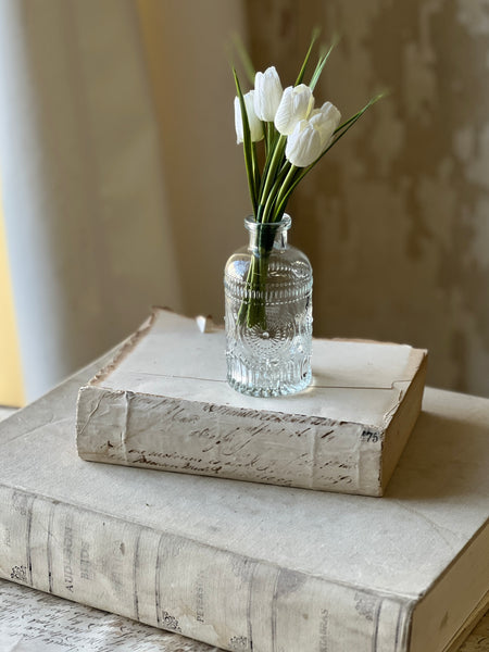 Aurelia Bottle No. 4 | 5"