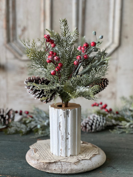 Tennison Pine Bush | 16"