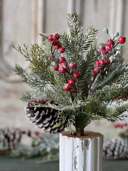 Tennison Pine Bush | 16"