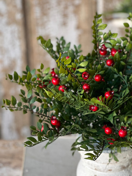 Lively Berry Bough Bush | 16" | SOLD OUT