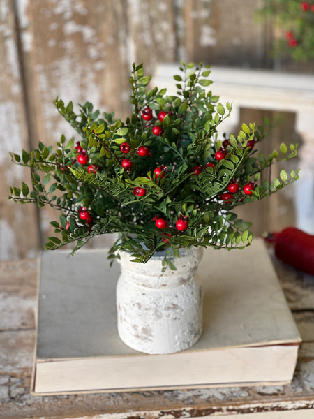 Lively Berry Bough Bush | 16" | SOLD OUT