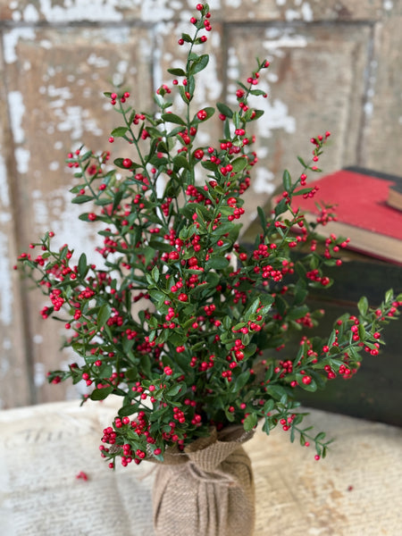 Sutherland Berry Tree | 23" | NOT CURRENTLY IN STOCK-New For Holiday 2026!