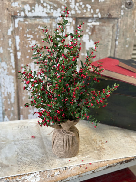 Sutherland Berry Tree | 23" | NOT CURRENTLY IN STOCK-New For Holiday 2026!