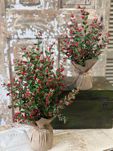 Sutherland Berry Tree | 17" | NOT CURRENTLY IN STOCK-New For Holiday 2026!