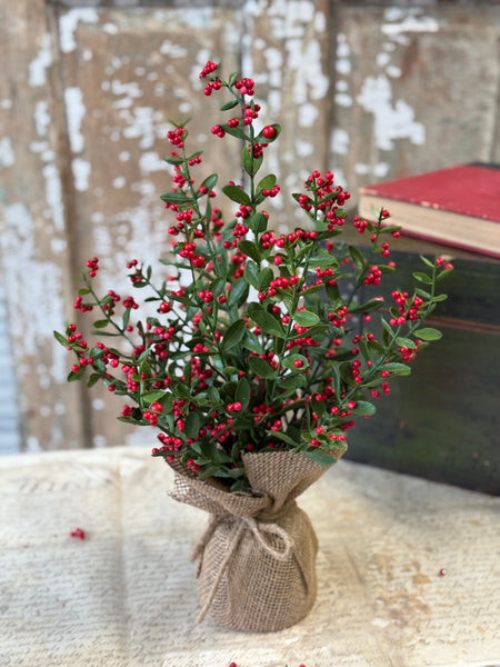 Sutherland Berry Tree | 17" | NOT CURRENTLY IN STOCK-New For Holiday 2026!