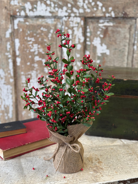 Sutherland Berry Tree | 17" | NOT CURRENTLY IN STOCK-New For Holiday 2026!