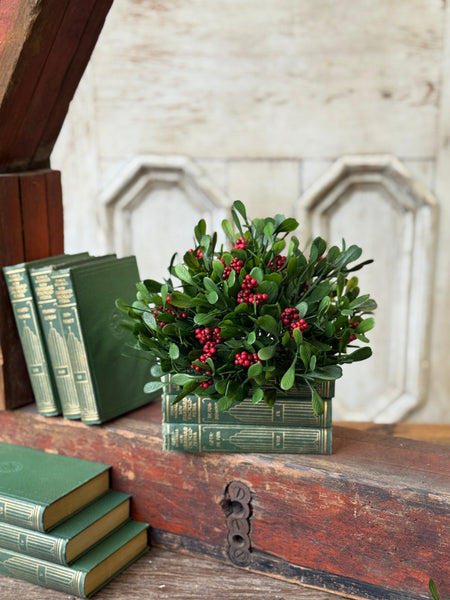 Noelle Greens Half Sphere | 10" | NOT CURRENTLY IN STOCK-New For Holiday 2026!