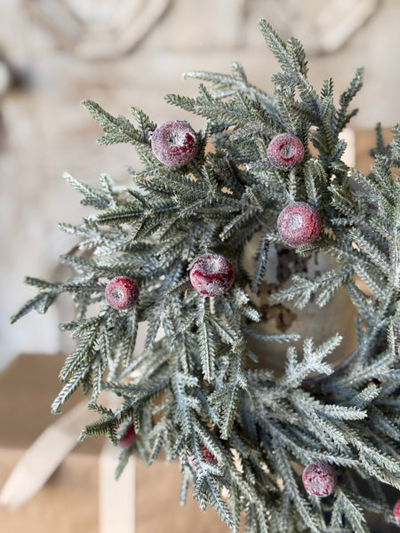 Peppermint Frost Candle Ring | 4" (inner) | NOT CURRENTLY IN STOCK-New For Holiday 2026!