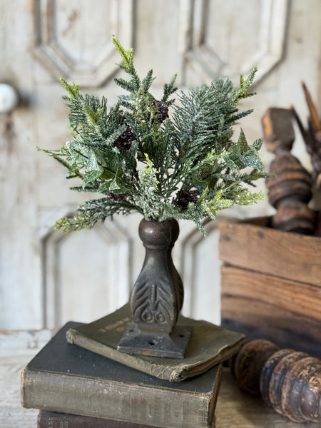 Snowy Cedarcone Bush | 12" | NOT CURRENTLY IN STOCK-New For Holiday 2026!