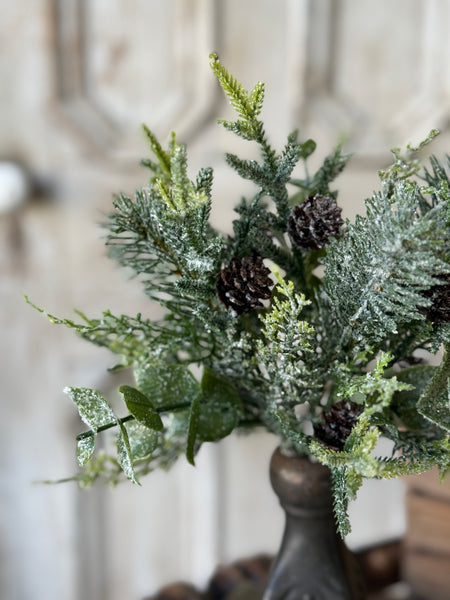 Snowy Cedarcone Bush | 12" | NOT CURRENTLY IN STOCK-New For Holiday 2026!
