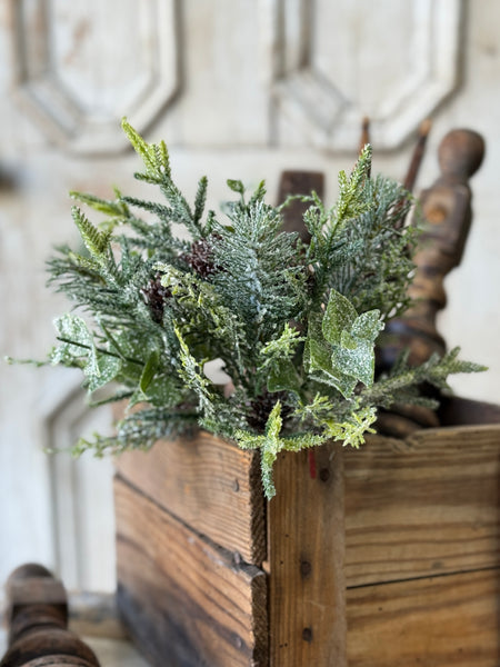 Snowy Cedarcone Bush | 12" | NOT CURRENTLY IN STOCK-New For Holiday 2026!