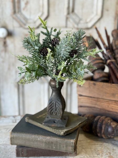 Snowy Cedarcone Bush | 12" | NOT CURRENTLY IN STOCK-New For Holiday 2026!