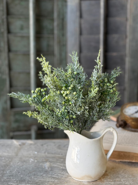 Sparkling Wintergreen Bush | 12" | NOT CURRENTLY IN STOCK-New For Holiday 2026!