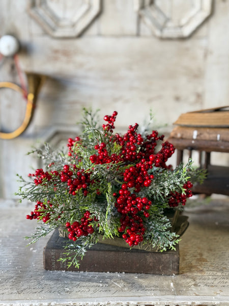 Garnet Grove Cedar Half Sphere | 10" | NOT CURRENTLY IN STOCK-New For Holiday 2026!